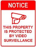 Video Surveillance - 18x24-inch