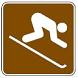 Downhill Skiing symbol - 12-inch