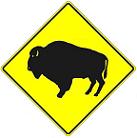 Buffalo Crossing symbol - 30-inch