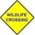 Wildlife Crossing - 18-, 24-, 30- or 36-inch