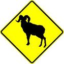 Big Horn Sheep symbol - 18-, 24-, 30- or 36-inch