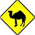 Camel symbol - 18-, 24-, 30- or 36-inch